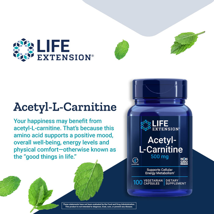 Life Extension Acetyl-L-Carnitine, 500mg - 100 vcaps | High-Quality Acetyl-L-Carnitine | MySupplementShop.co.uk