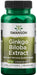 Swanson Ginkgo Biloba Extract 24%, 60mg - 120 caps | High-Quality Health and Wellbeing | MySupplementShop.co.uk